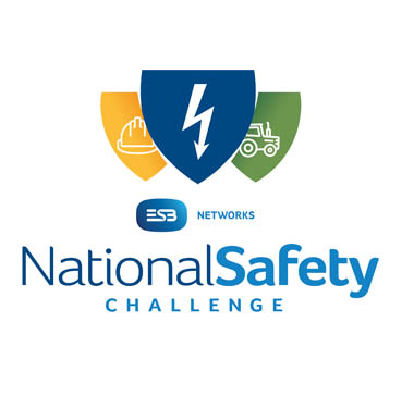 National Safety Challenge Icon