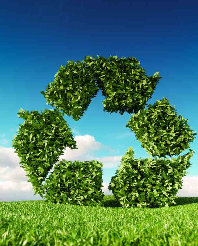 Image of recycling symbol with leaves